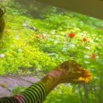 Immersive motion activated projectors